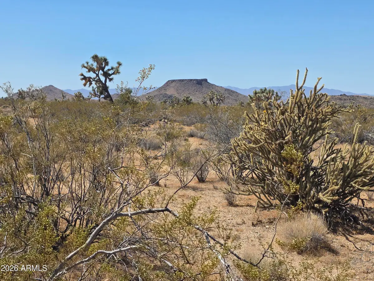 190 S Mary Place #11, Yucca, AZ 86438 - #1