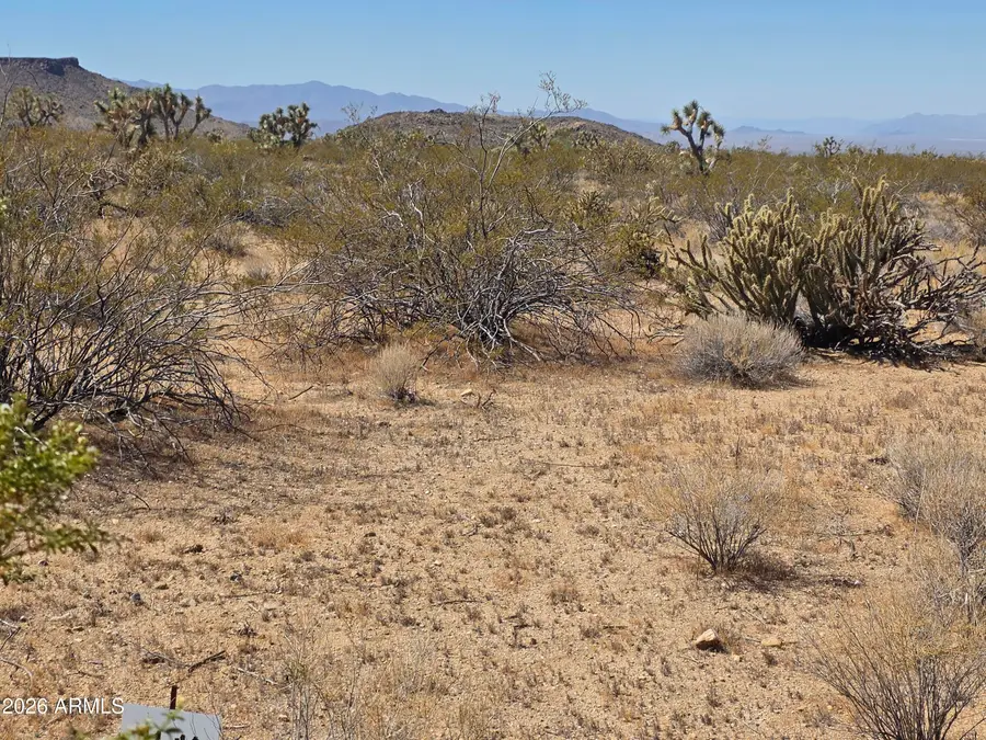 190 S Mary Place #11, Yucca, AZ 86438 - #3