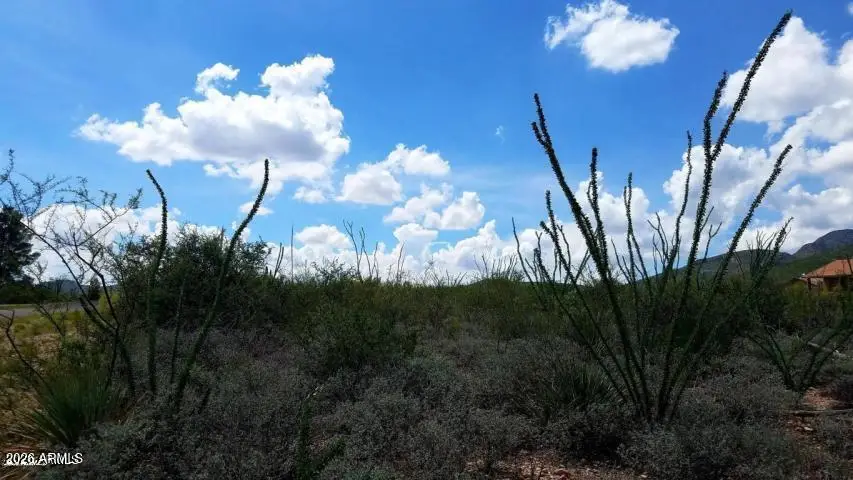 Lot 20 W Cameo Street #20, Bisbee, AZ 85603 - #2