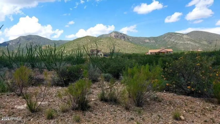Lot 20 W Cameo Street #20, Bisbee, AZ 85603 - #3