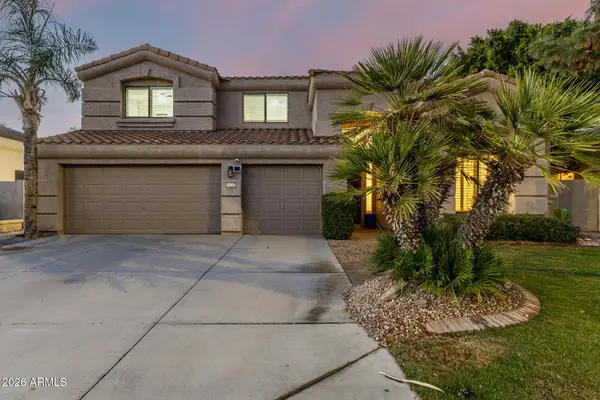 714 W Desert Broom Drive, Chandler, AZ 85248