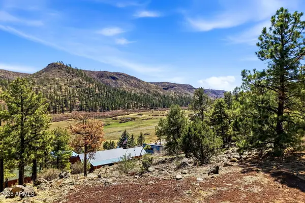 2 County Road 1013 -- #12, Greer, AZ 85927