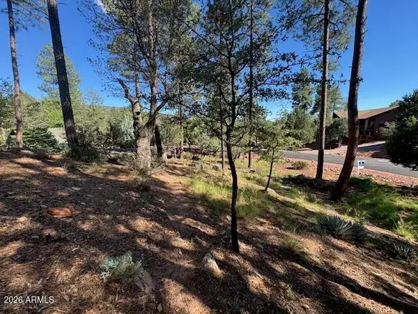 lot 33 Sage Court #33, Pine, AZ 85544