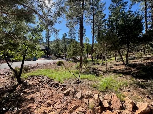 lot 33 Sage Court #33, Pine, AZ 85544 - #3