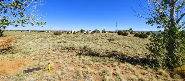 1190 S Haystack Road #68, Taylor, AZ 85939