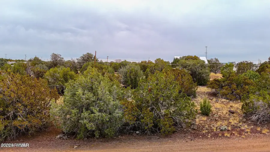 8423 Apache Drive, Show Low, AZ 85901 - #3