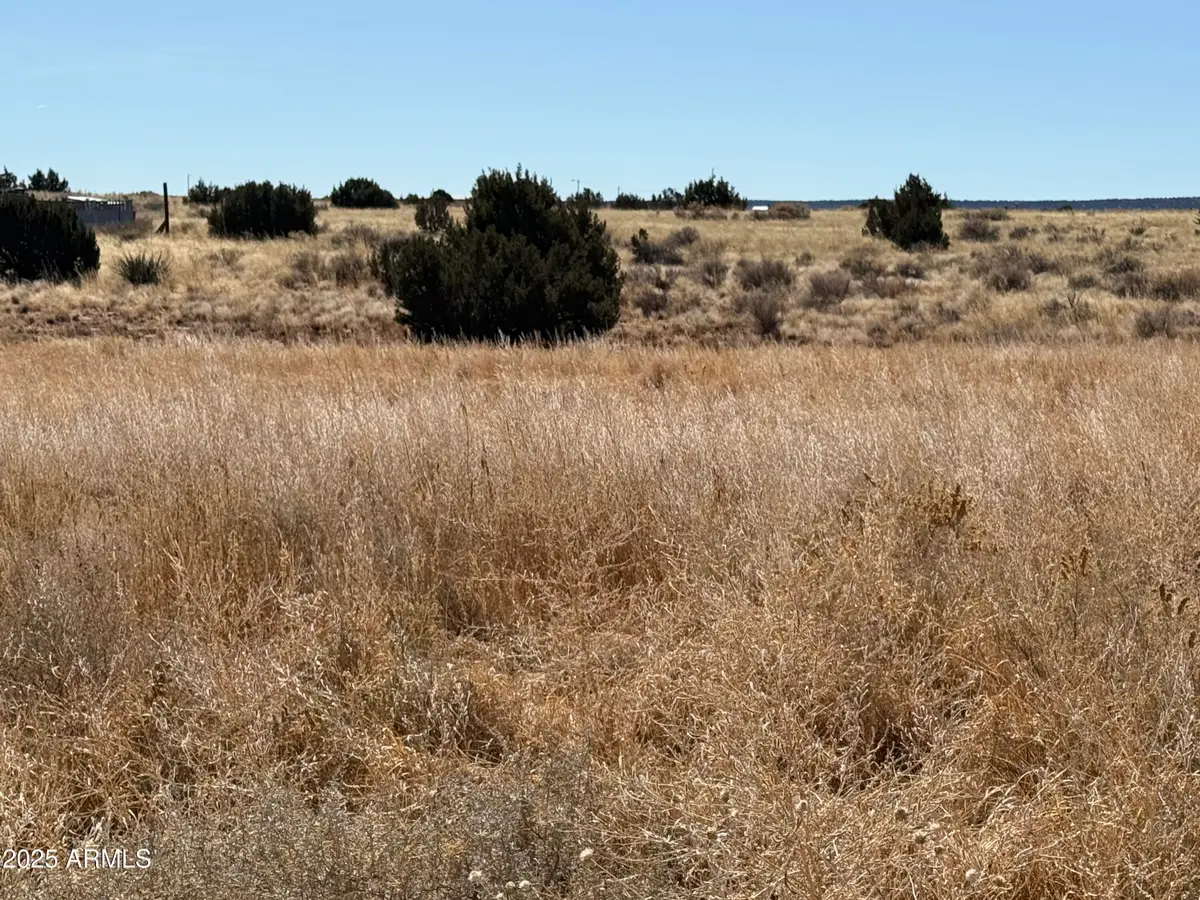 13 N Mountain View Street N #13, Saint Johns, AZ 85936 - #1