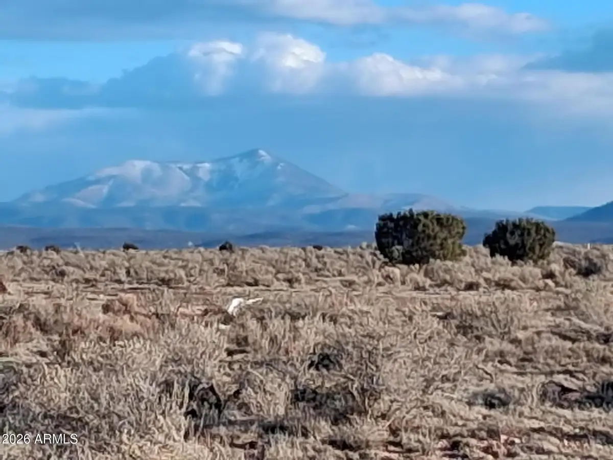 1801 E Canby Drive, Williams, AZ 86046 - #1