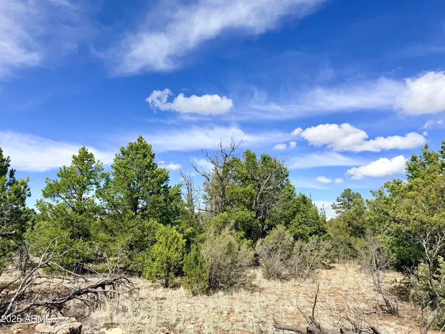 7112 Horizon Circle #101, Happy Jack, AZ 86024 - #2