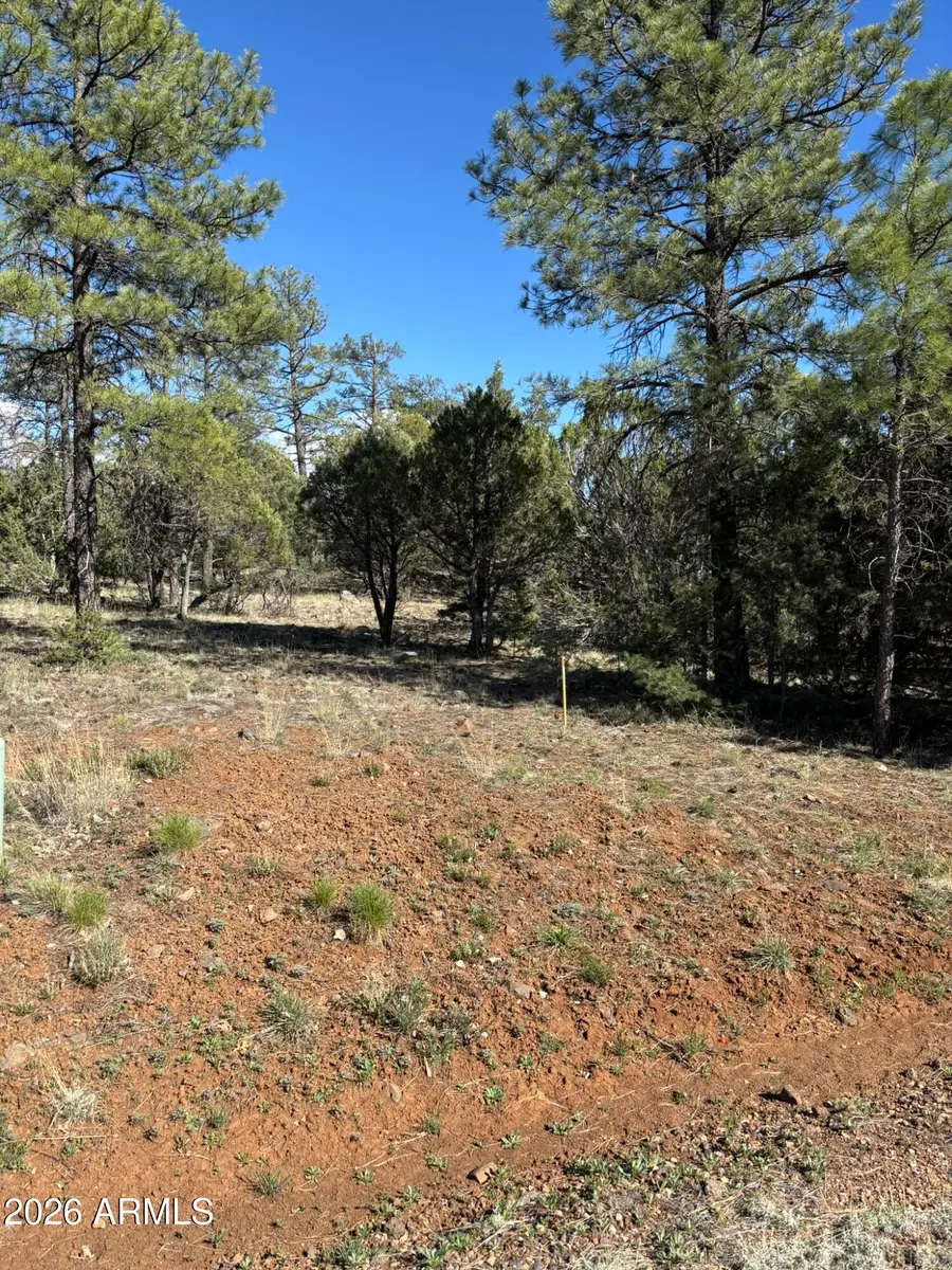 5459 Gray Wolf Drive #46, Lakeside, AZ 85929 - #2