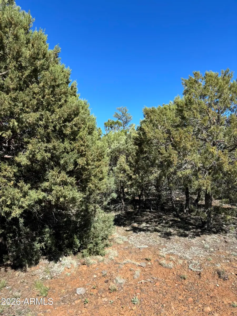 5459 Gray Wolf Drive #46, Lakeside, AZ 85929 - #3