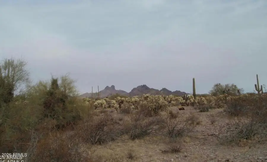 29900 N 315th Avenue #96 7, Wittmann, AZ 85361 - #2