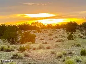 TBD Co Rd N6659 36.25 Acres --, Saint Johns, AZ 85936 - #1