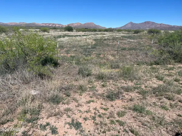 TBD E Calle Suprema -- #114, Douglas, AZ 85607