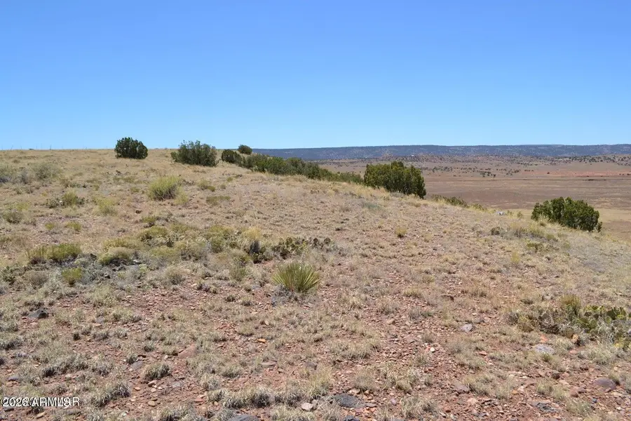 Lot 863 Acr N8497 -- #863, Concho, AZ 85924 - #3