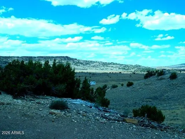 60 County Road N4019 -- #67, Saint Johns, AZ 85936 - #3