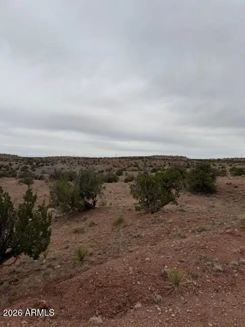 N6124 N N6124 -- #202-44-022, Saint Johns, AZ 85936 - #2