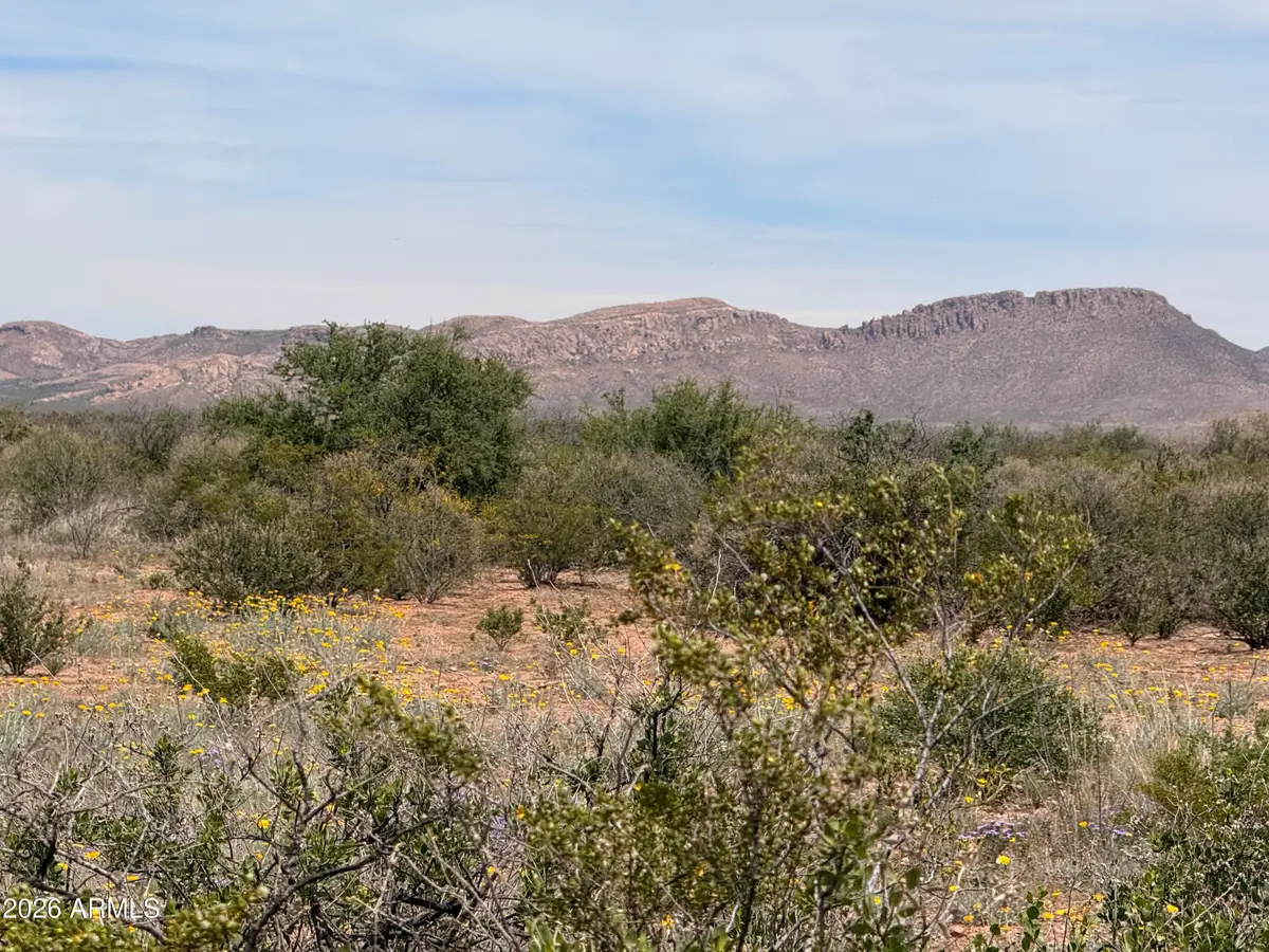 Lot 3940 N Valladolid Drive #3940, Douglas, AZ 85607 - #1