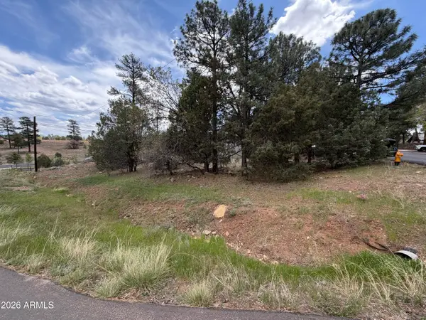 261 S 1st Drive #4, Show Low, AZ 85901