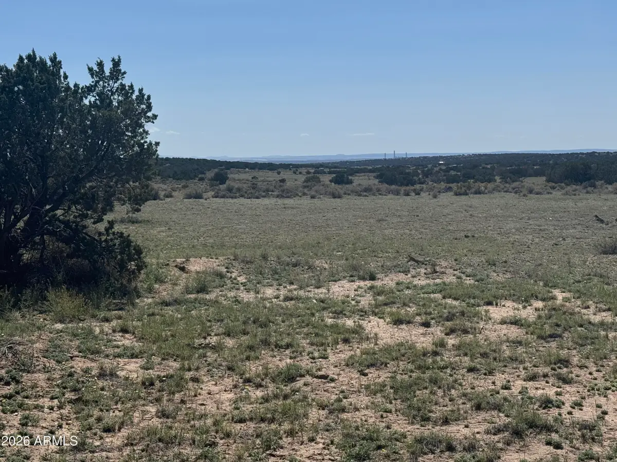 Lot 531 Woodland Valley Ranch -- #531, Saint Johns, AZ 85936 - #1