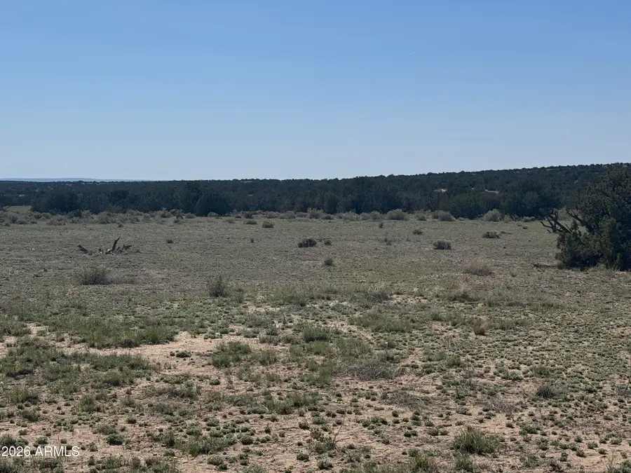 Lot 531 Woodland Valley Ranch -- #531, Saint Johns, AZ 85936 - #2