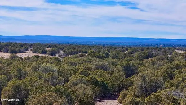 9023 Appaloosa Trl Lot D , 10 Acres --, Show Low, AZ 85901