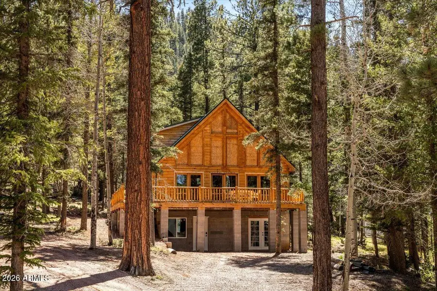 6 County Road 2042 --, Alpine, AZ 85920 - #3