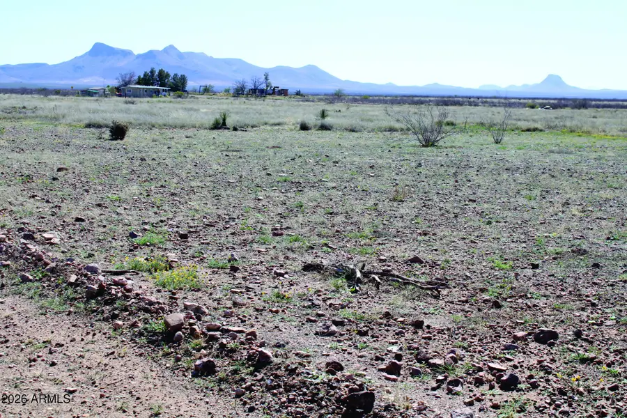 .45 Acres E Madrone Drive #738, Douglas, AZ 85607 - #2