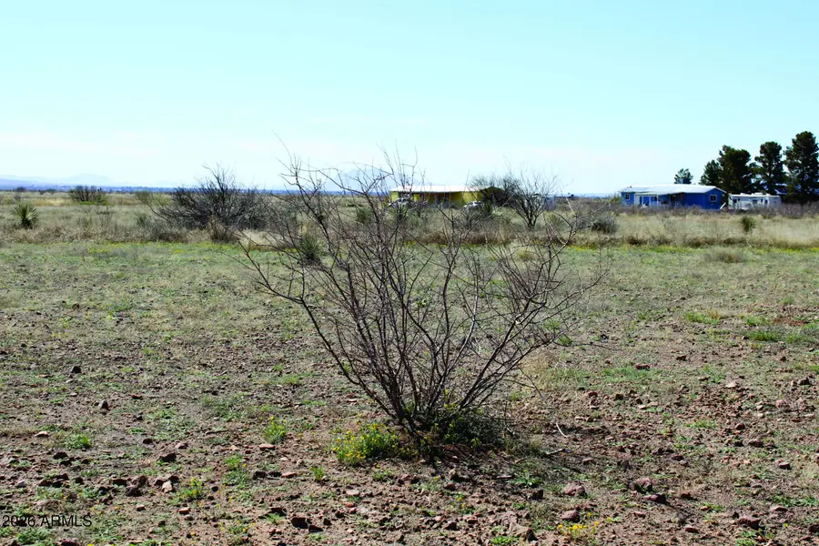 .45 Acres E Madrone Drive #738, Douglas, AZ 85607 - #3