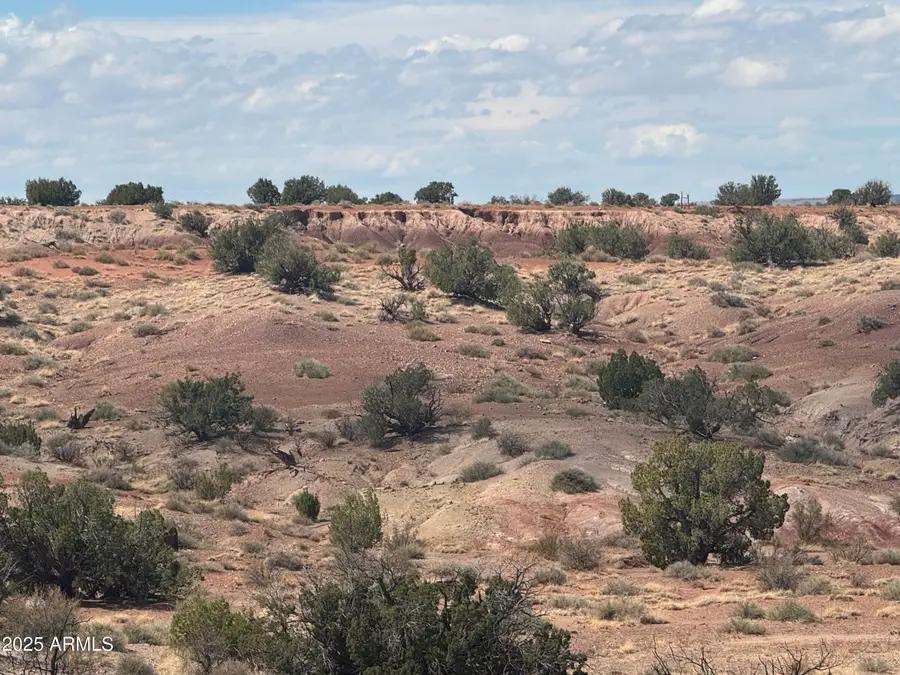 #59 River Springs Ranch -- #59, Saint Johns, AZ 85936 - #3