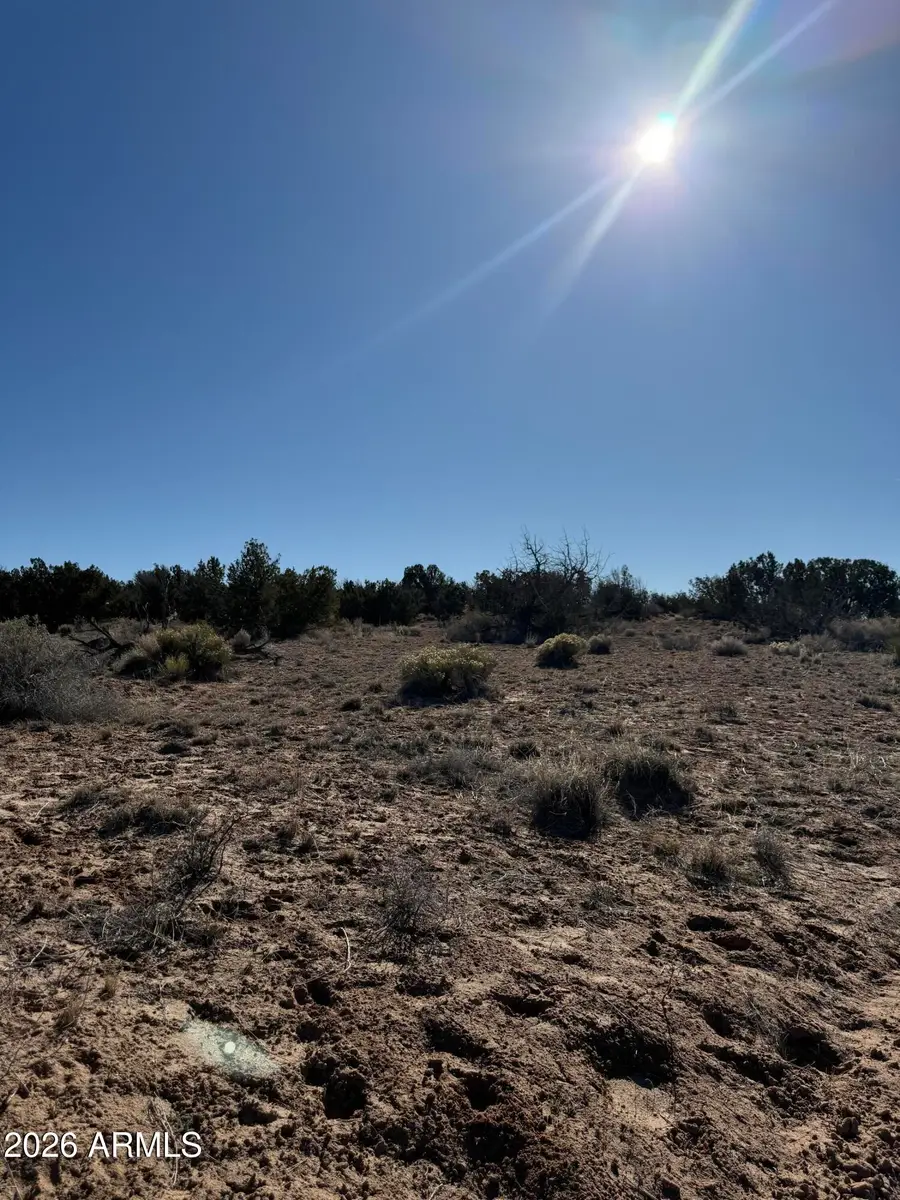 TBD 1 N6549 -- #794, Saint Johns, AZ 85936 - #2