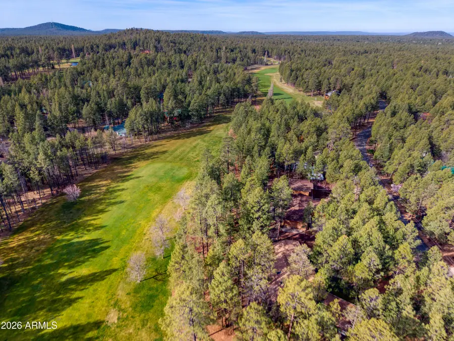 7139 Buck Springs Road, Pinetop, AZ 85935 - #3