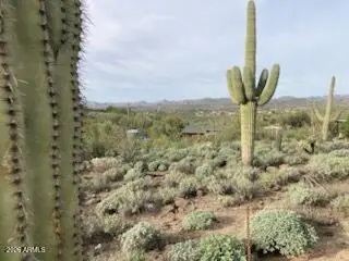 49636 N 15th Avenue #4, New River, AZ 85087 - #3