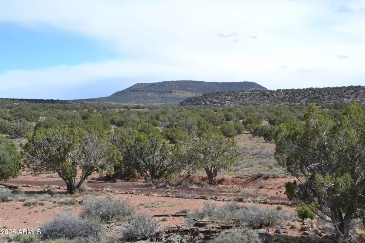 32 N8544 -- #398, Concho, AZ 85924 - #1