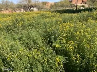 45427 N 14th Street #A, New River, AZ 85087