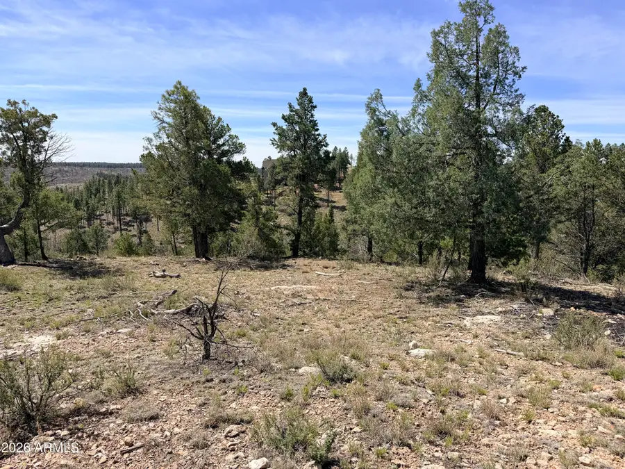 5088 Morning View Drive #6, Happy Jack, AZ 86024 - #3