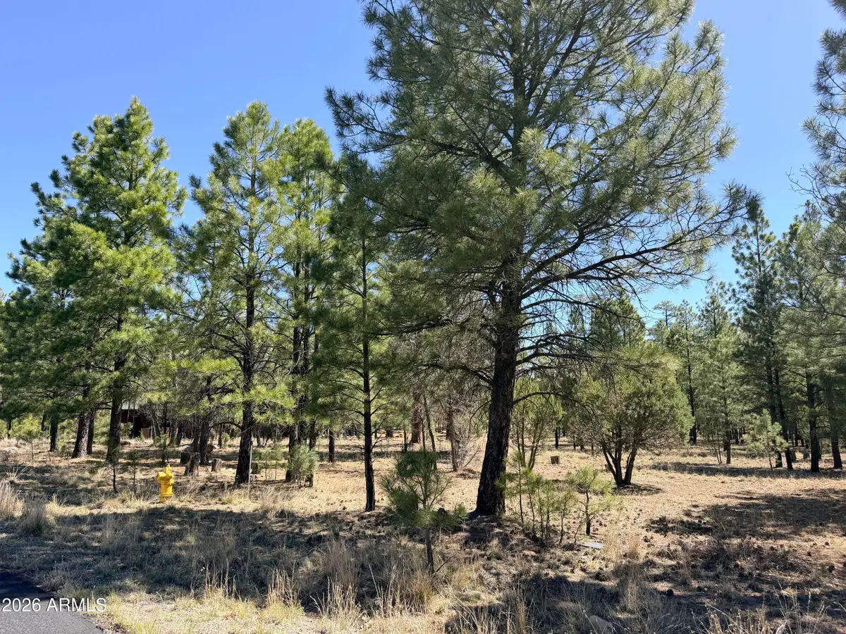 1755 Sugar Pine Drive #232, Happy Jack, AZ 86024 - #1
