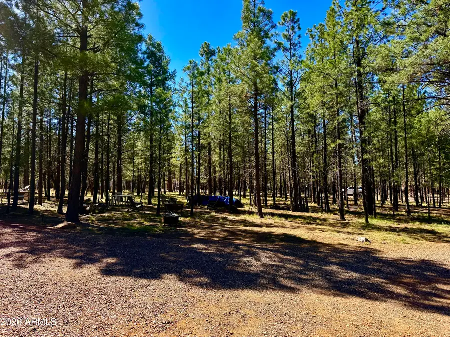 815 Reata Pass #698, Happy Jack, AZ 86024 - #2