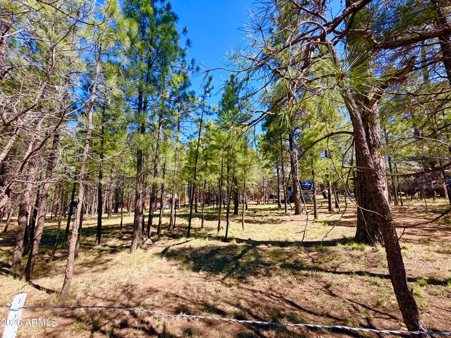 815 Reata Pass #698, Happy Jack, AZ 86024 - #3