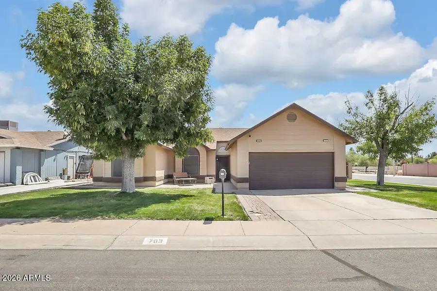 703 N Brandon Drive, Chandler, AZ 85226 - #2
