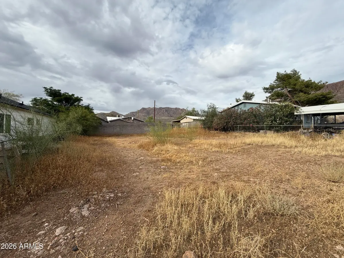 596 W Ray Street, Superior, AZ 85173 - #1