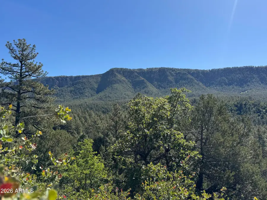 5000 N Trails End Drive, Pine, AZ 85544 - #2