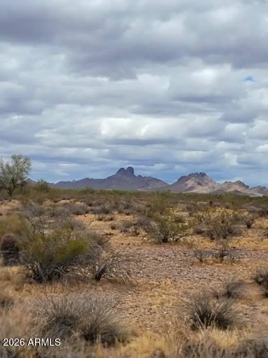 0 W Smokehouse Trail #89 & 90, Wickenburg, AZ 85390 - #2
