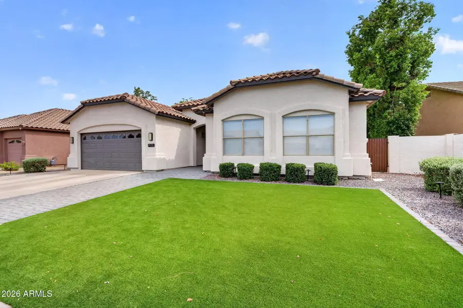 905 W Beechnut Drive, Chandler, AZ 85248 - #3