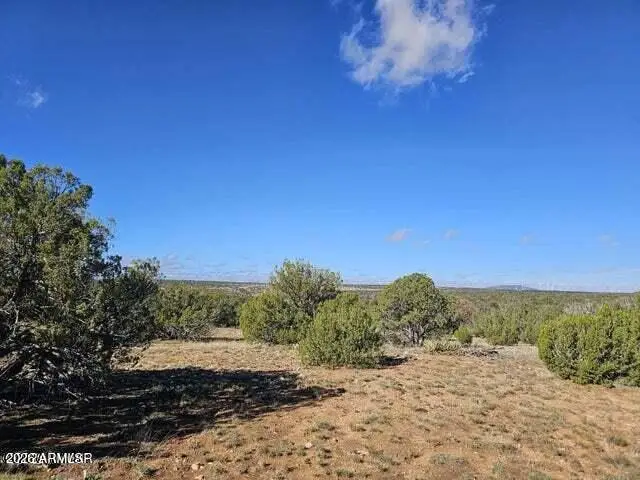 1725 Mcallister Avenue #' - ', Heber, AZ 85928 - #1