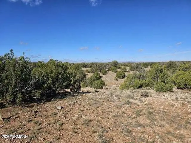 1725 Mcallister Avenue #' - ', Heber, AZ 85928 - #2
