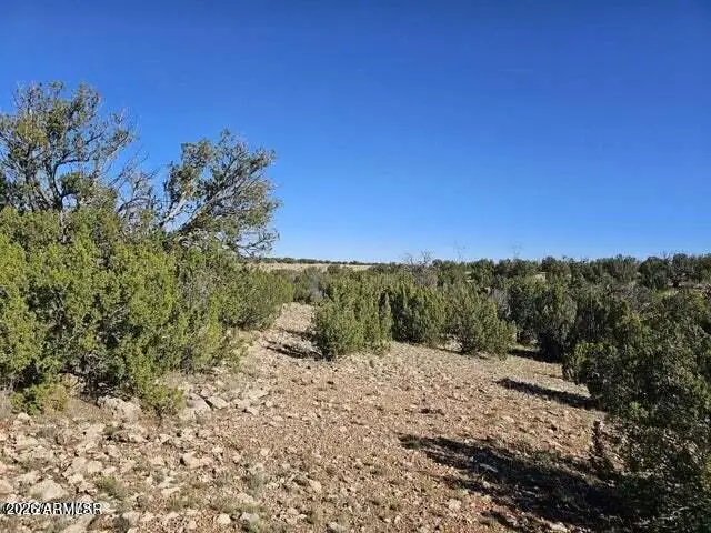 1725 Mcallister Avenue #' - ', Heber, AZ 85928 - #3