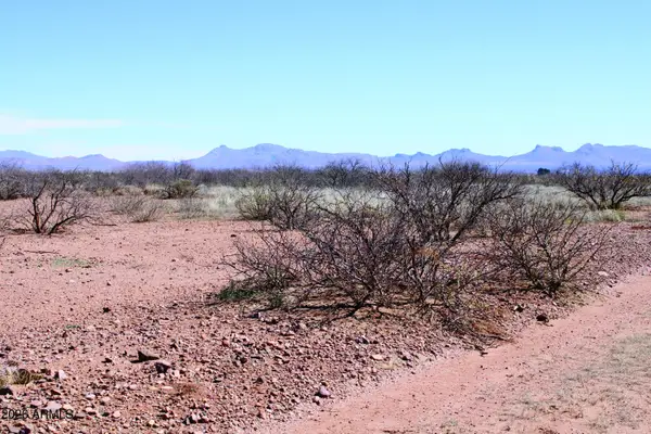 .67 Acres W Penn State Drive #1229, Douglas, AZ 85607