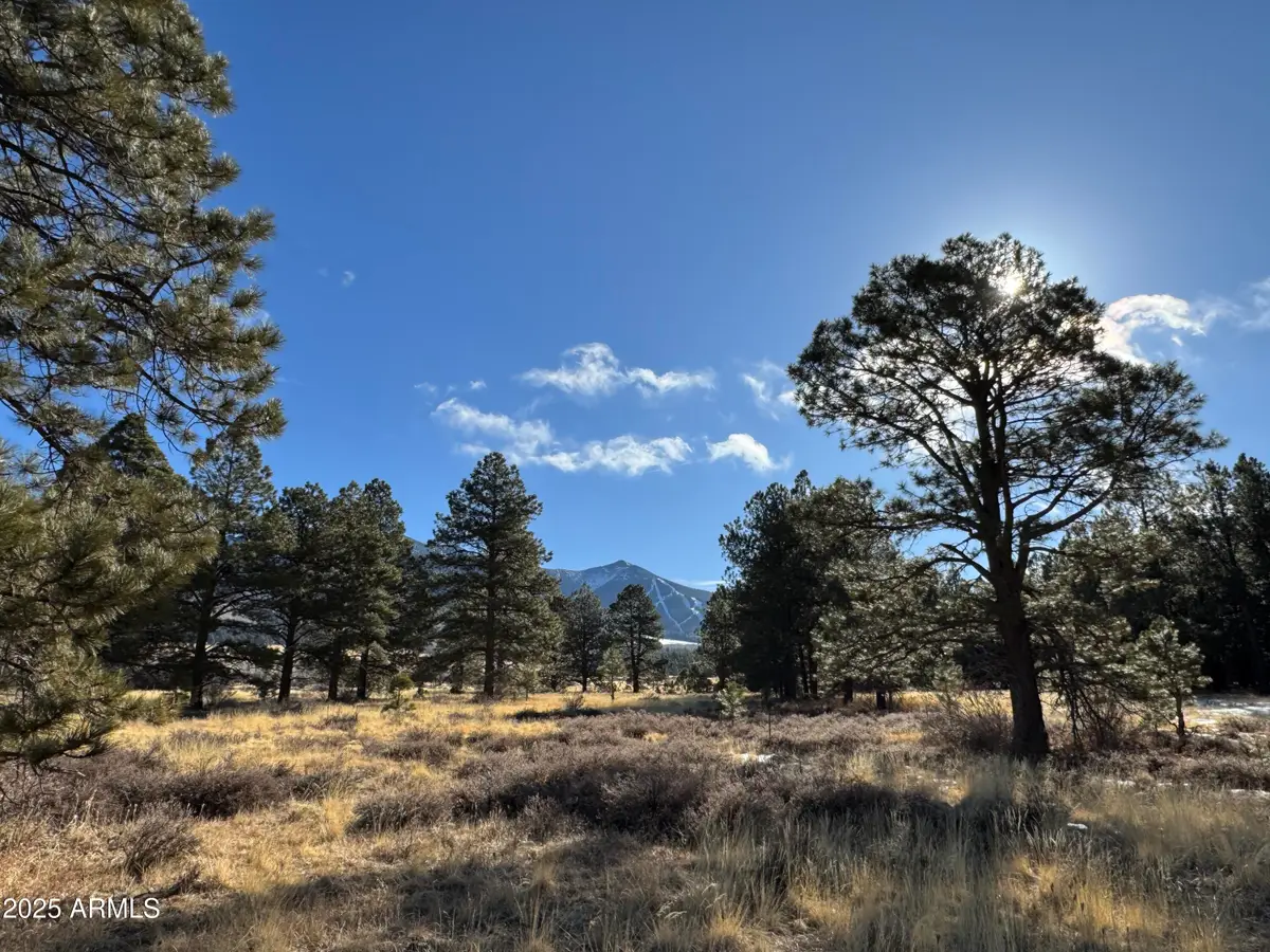 003 Hart Prairie Rd --, Flagstaff, AZ 86001 - #1
