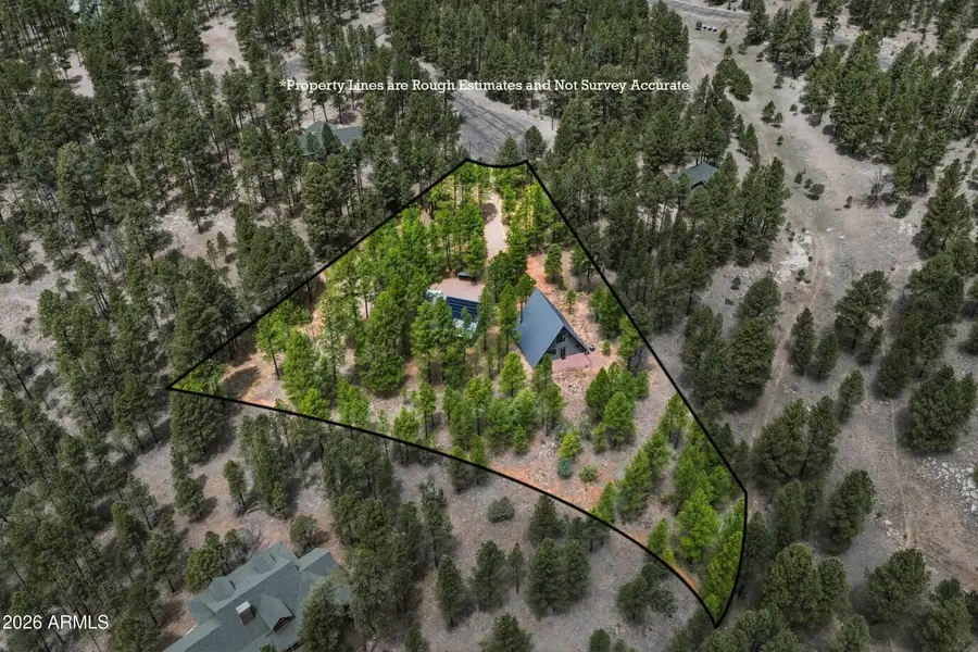 4596 Cree Circle, Happy Jack, AZ 86024 - #3